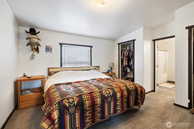 154 Dreamscape Rd, Walla Walla, WA 99362 - bedroom with a walk in closet, lofted ceiling, a closet, carpet flooring, and baseboards