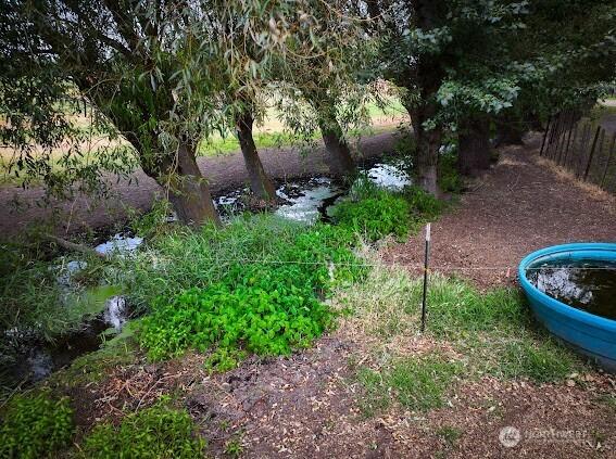 154 Dreamscape Rd, Walla Walla, WA 99362 - view of yard