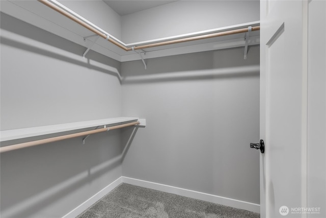 spacious closet with carpet floors