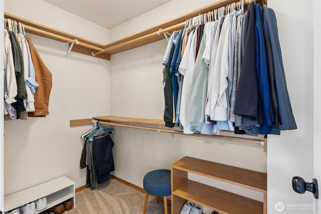 walk in closet with carpet