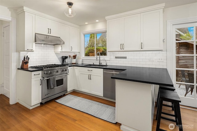 kitchen with a sink, dark countertops, under cabinet range hood, and stainless steel appliances