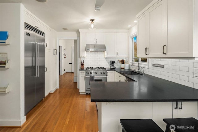 kitchen with high end appliances, a peninsula, a sink, under cabinet range hood, and dark countertops