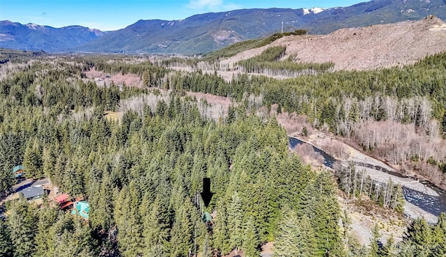 drone / aerial view featuring a mountain view and a forest view