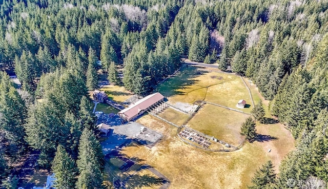 bird's eye view with a forest view