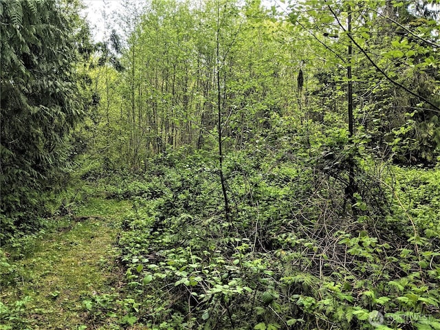 Listing photo 3 for 3LOT Maple Tree Ln, Concrete WA 98237