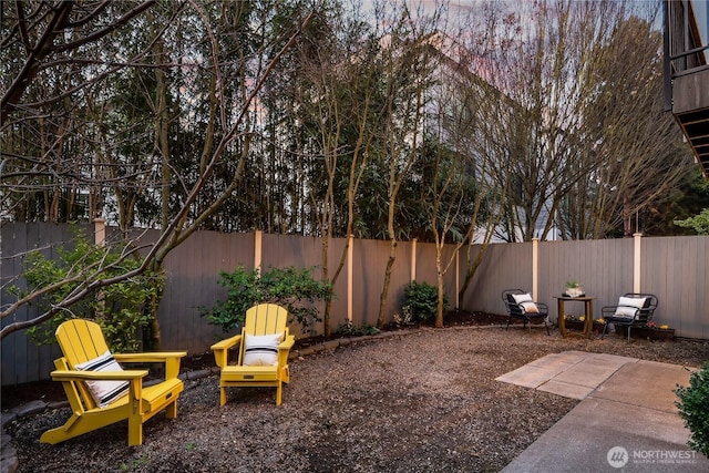 view of yard featuring a patio area and a fenced backyard