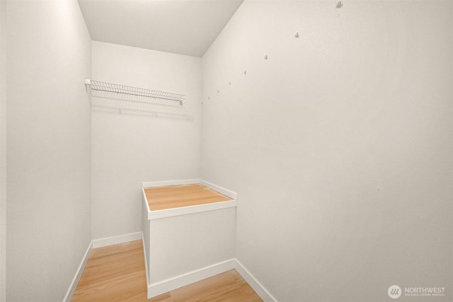 spacious closet with light wood-type flooring