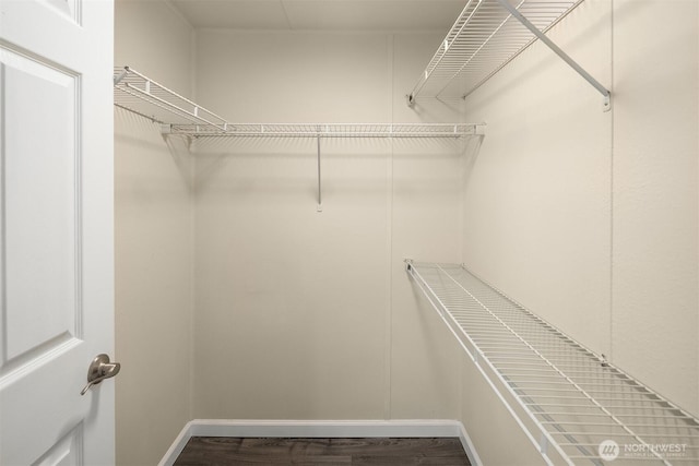 spacious closet featuring wood finished floors