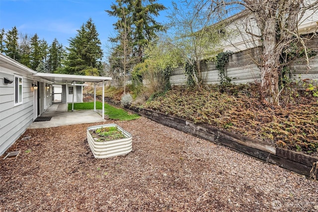 view of yard with a patio area and a fenced backyard