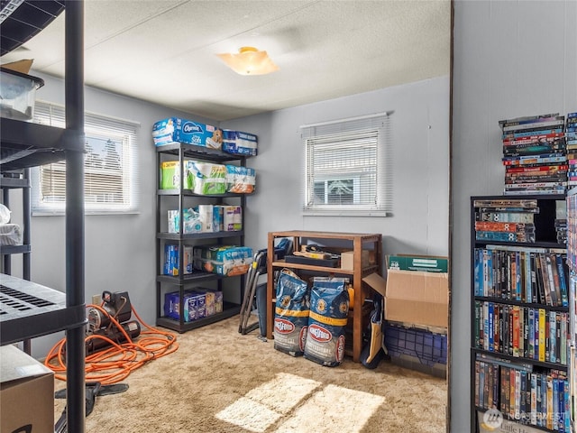 interior space with carpet and a textured ceiling