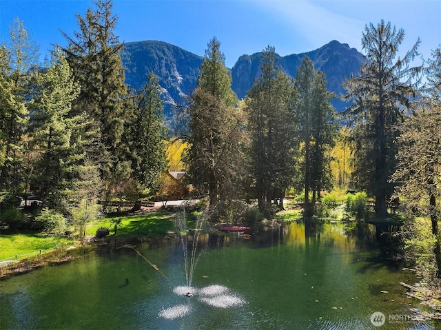 8100 428th Ave SE, Snoqualmie, WA 98065 - view of water feature featuring a mountain view