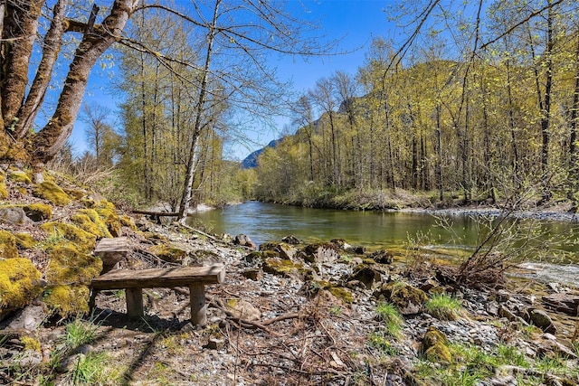8100 428th Ave SE, Snoqualmie, WA 98065 - property view of water featuring a forest view
