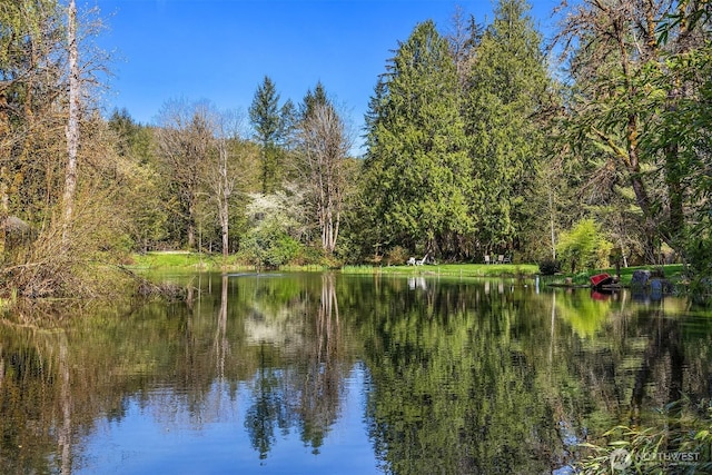 8100 428th Ave SE, Snoqualmie, WA 98065 - water view featuring a wooded view