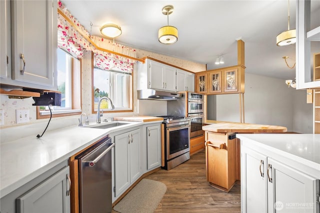 kitchen featuring under cabinet range hood, appliances with stainless steel finishes, light countertops, and a sink