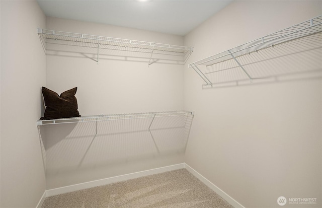 spacious closet with carpet