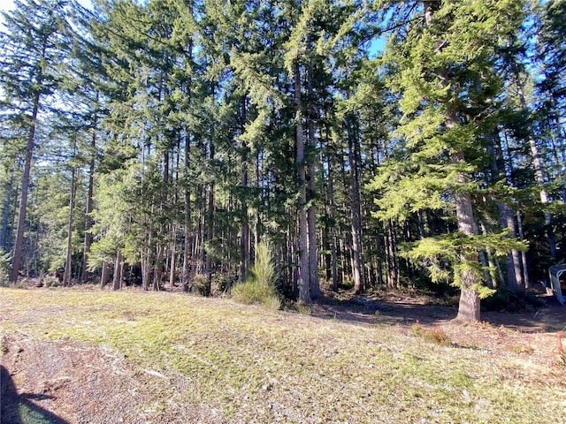 90 E Blenheim Pl, Shelton WA, 98584 land for sale