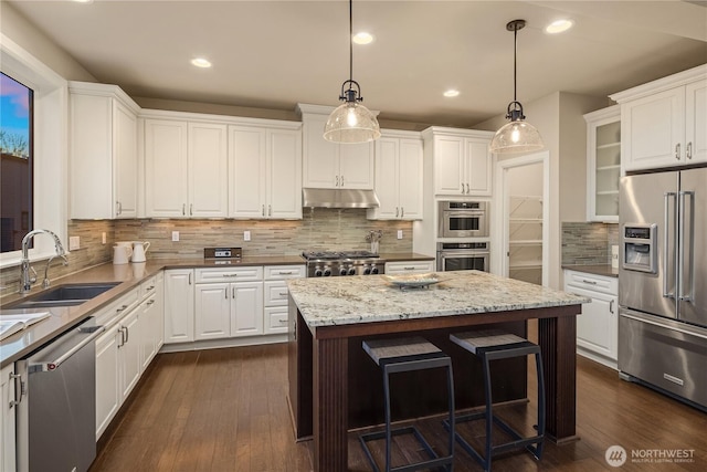 kitchen featuring a sink, stainless steel appliances, under cabinet range hood, and white cabinets