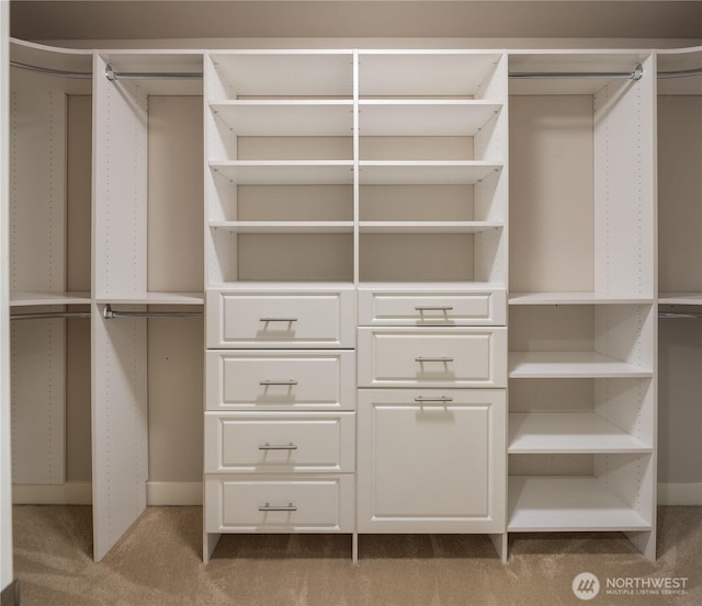 walk in closet featuring carpet flooring