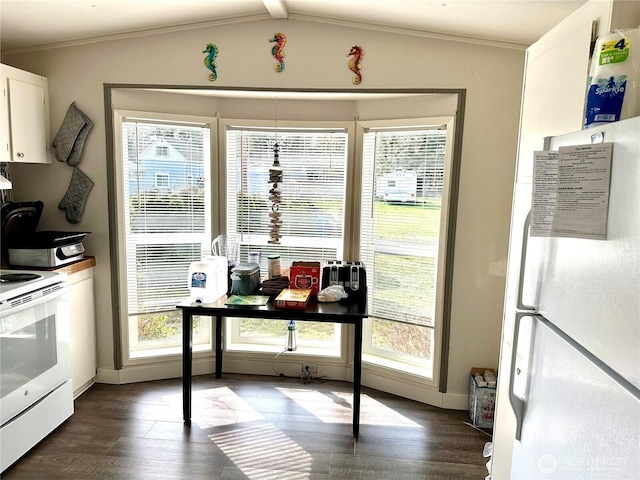 interior space featuring plenty of natural light, dark wood-type flooring, and ornamental molding