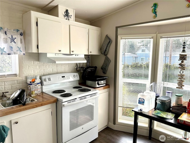 kitchen featuring a healthy amount of sunlight, tasteful backsplash, under cabinet range hood, and white range with electric stovetop