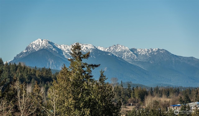 30 Sundae Dr, Sequim, WA 98382 - mountain view featuring a wooded view