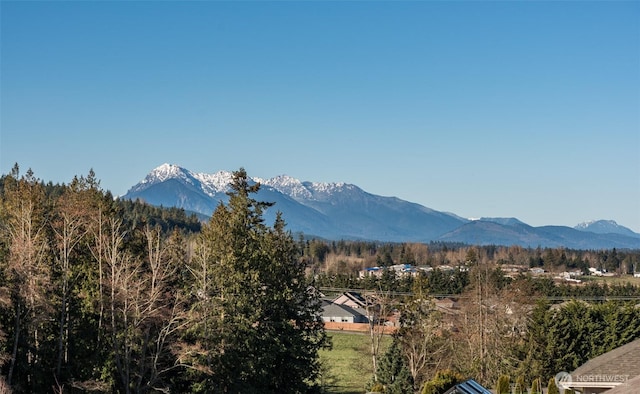 30 Sundae Dr, Sequim, WA 98382 - property view of mountains with a wooded view