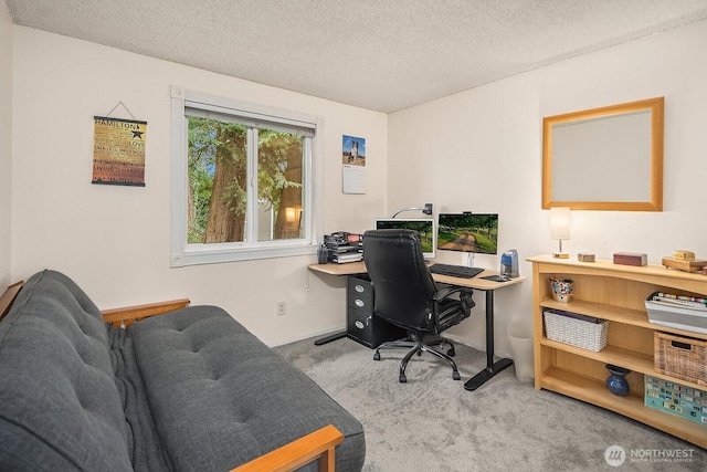 office space featuring a textured ceiling and carpet