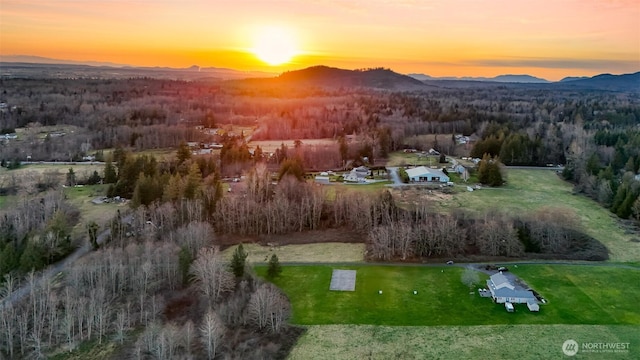 birds eye view of property with a wooded view and a mountain view