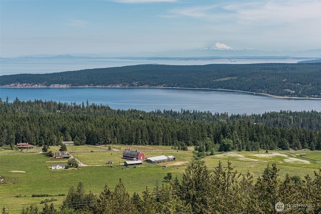 birds eye view of property with a forest view and a water view