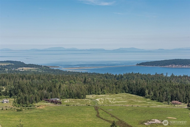 bird's eye view with a water and mountain view and a wooded view