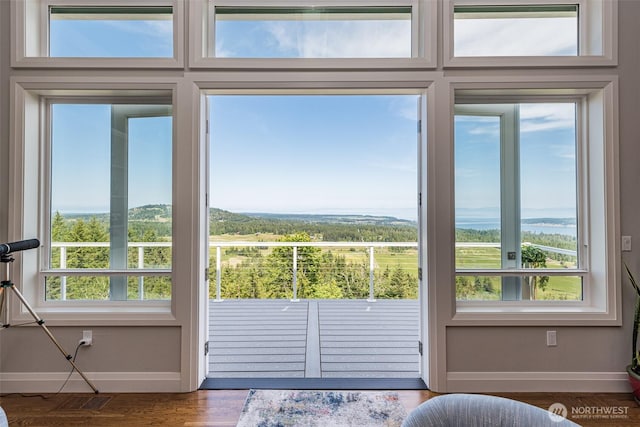 doorway with wood finished floors, a healthy amount of sunlight, baseboards, and a water view