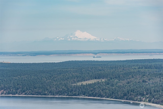 mountain view with a forest view