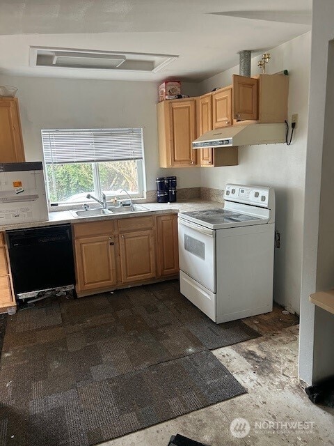 kitchen with under cabinet range hood, a sink, black dishwasher, white range with electric stovetop, and light countertops