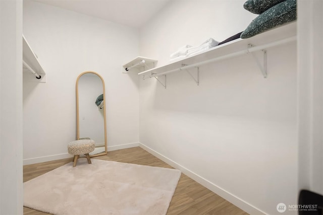 spacious closet featuring light wood-style flooring