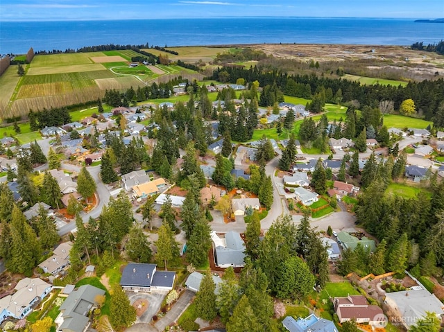 drone / aerial view with a residential view and a water view