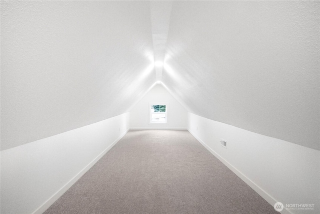 additional living space featuring visible vents, lofted ceiling, carpet, and baseboards