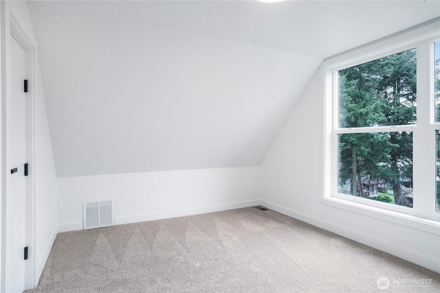 additional living space with visible vents, baseboards, lofted ceiling, and carpet