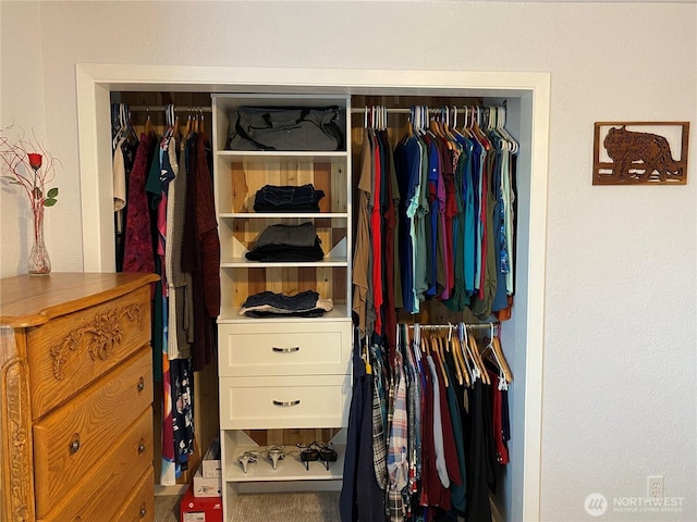 view of closet