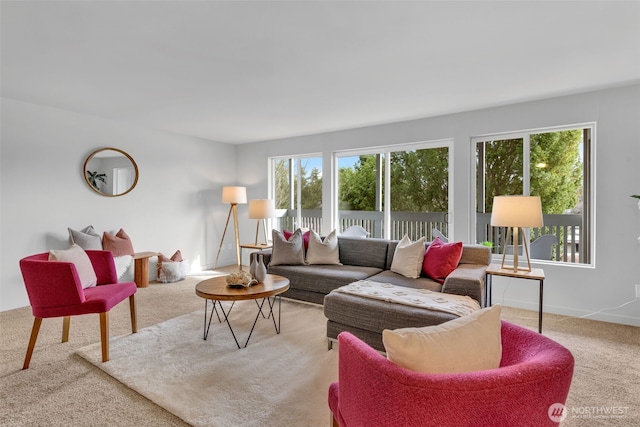 carpeted living area with a healthy amount of sunlight and baseboards