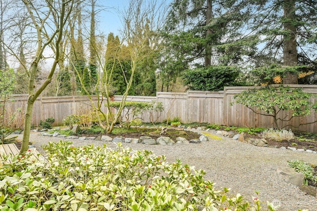 view of yard with a fenced backyard