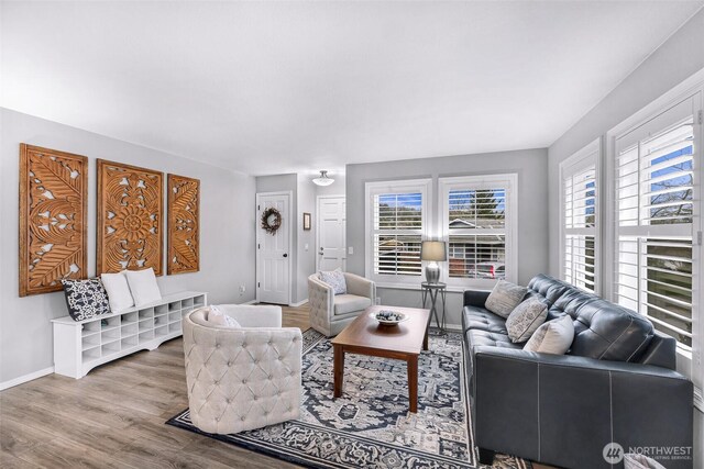 living room with baseboards and wood finished floors