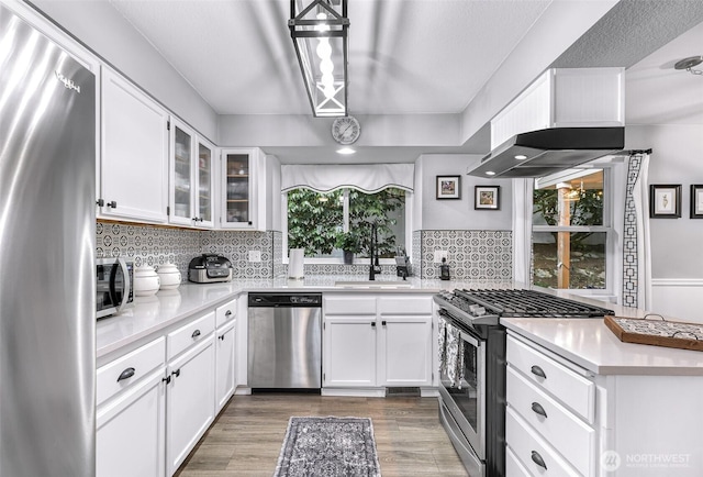 kitchen with white cabinets, wood finished floors, appliances with stainless steel finishes, and a sink