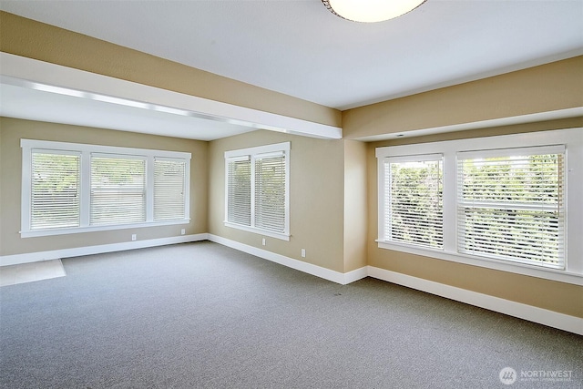 spare room with baseboards and carpet