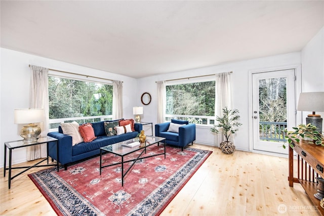 living room featuring a healthy amount of sunlight and wood-type flooring