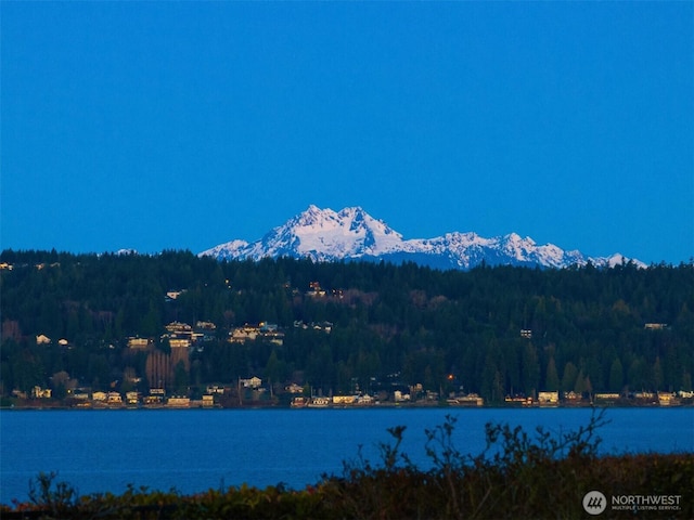 property view of water with a mountain view and a wooded view