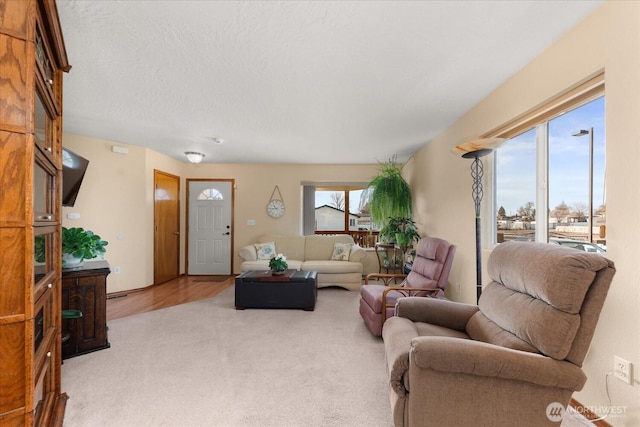 living room featuring plenty of natural light, light colored carpet, and a textured ceiling