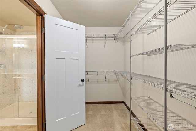 walk in closet with light colored carpet