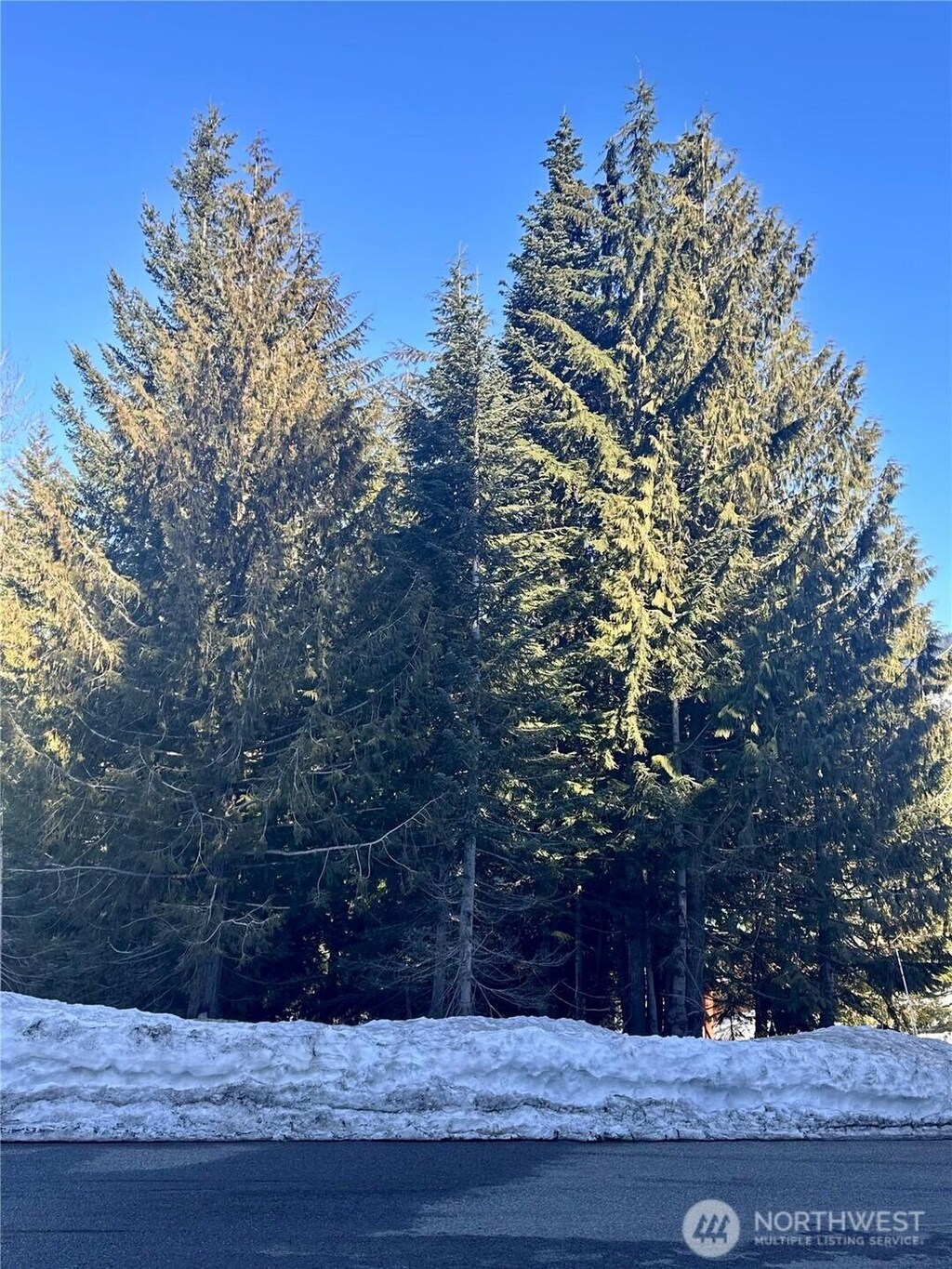 0- Snoqualmie Dr, Snoqualmie Pass, WA 98068 - photo 2