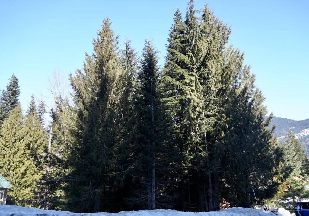 0- Snoqualmie Dr, Snoqualmie Pass, WA 98068 - photo 1