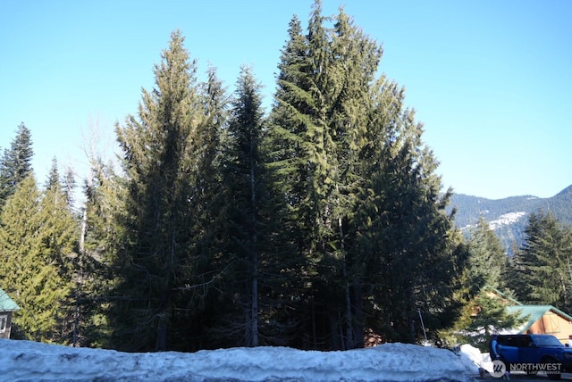 Listing photo 3 for 0- Snoqualmie Dr, Snoqualmie Pass WA 98068